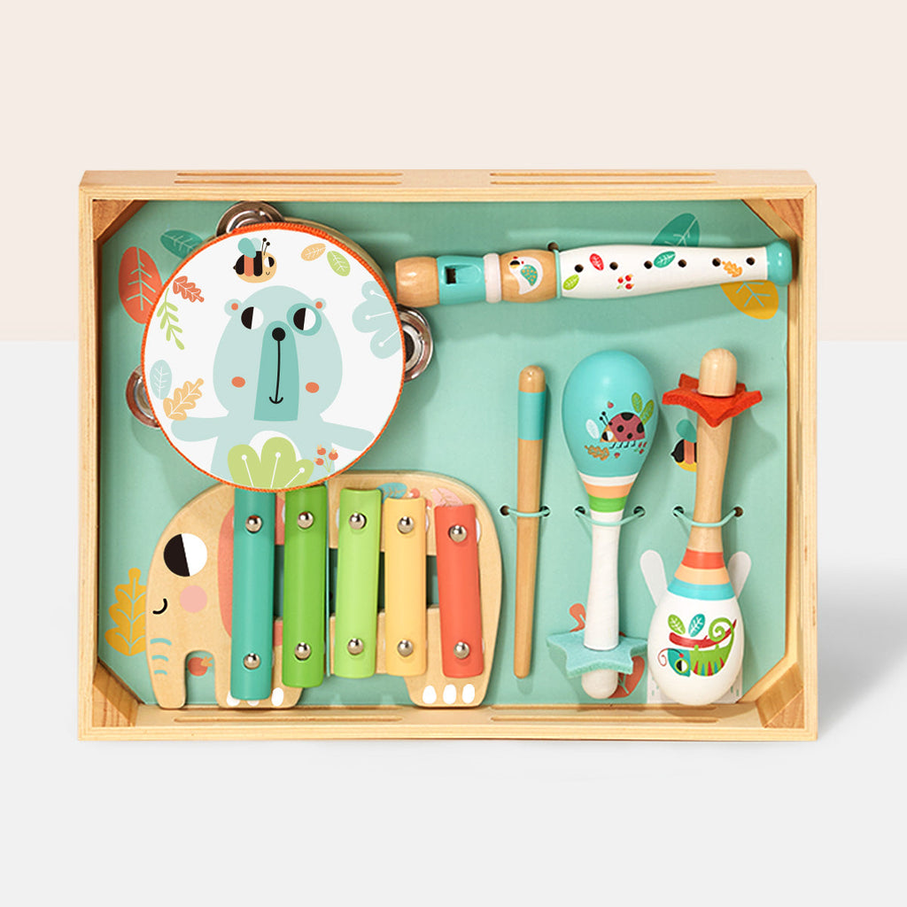 Music Instrument Set