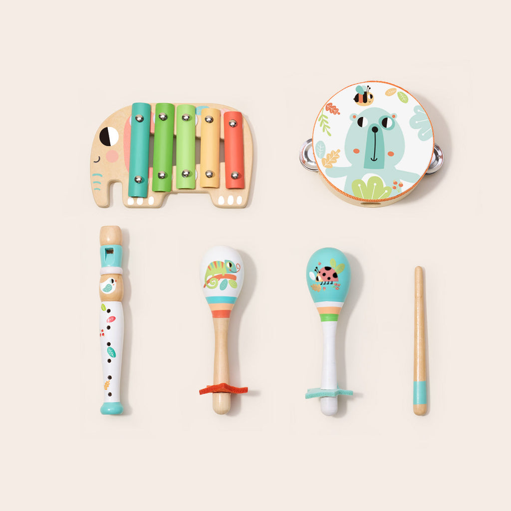 Music Instrument Set