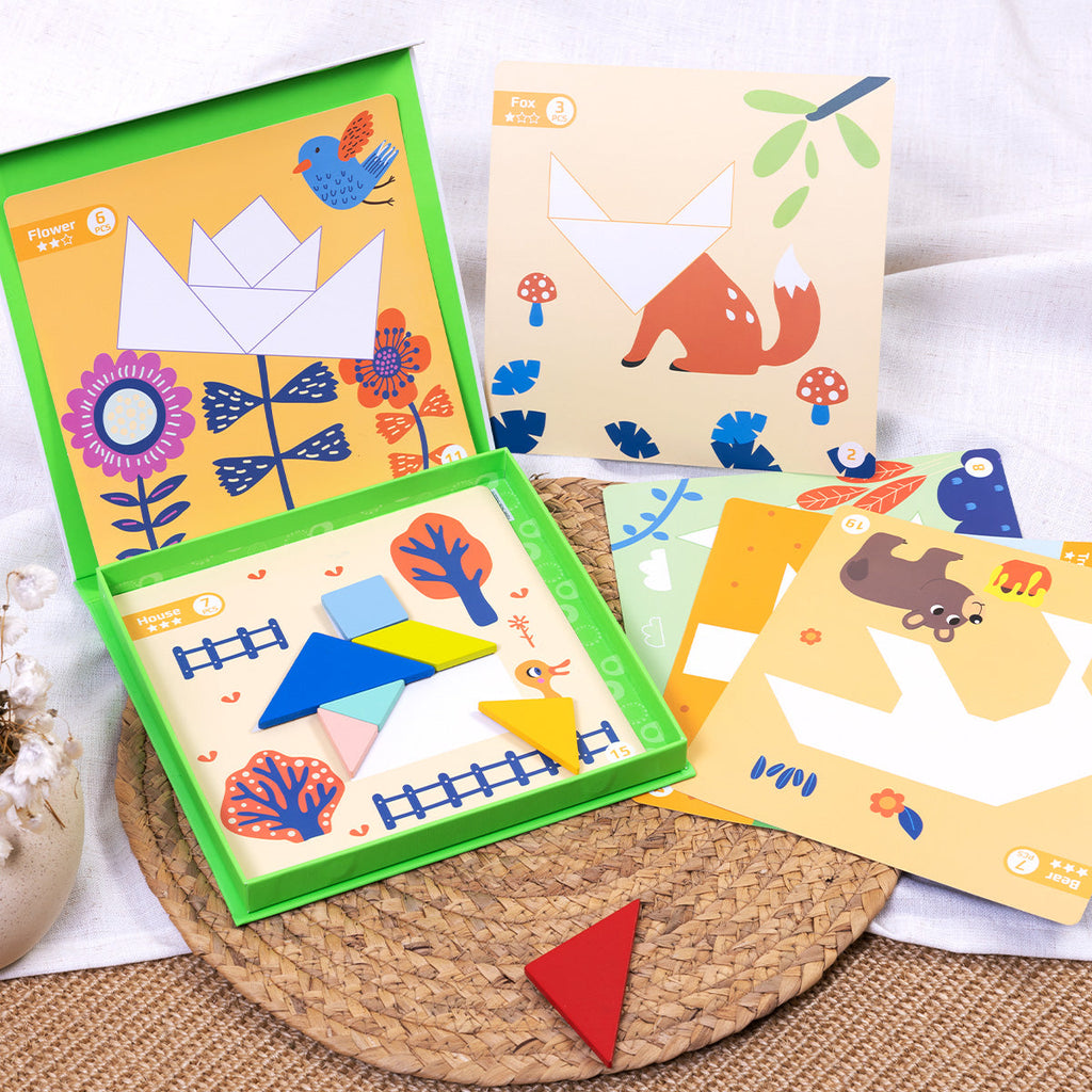 Magnetic Tangram Set