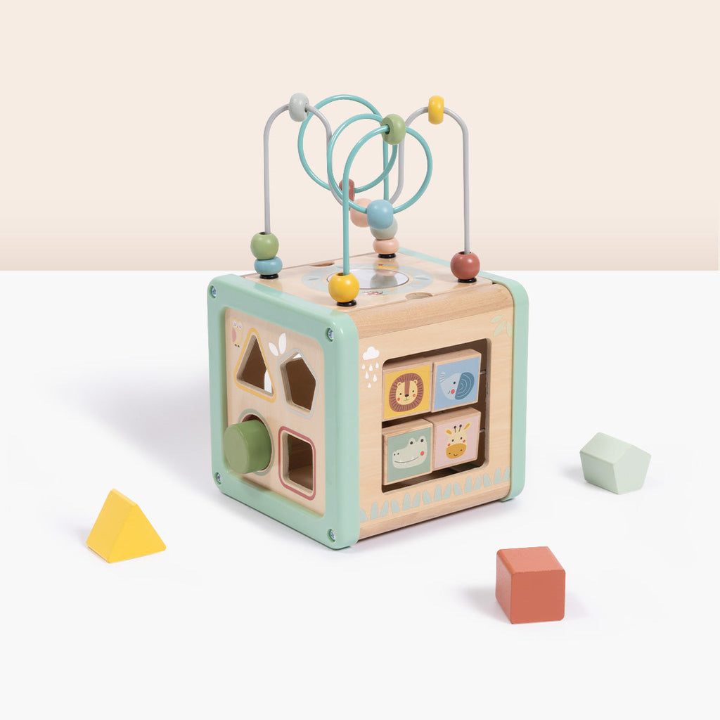 Multi-Activity Cube
