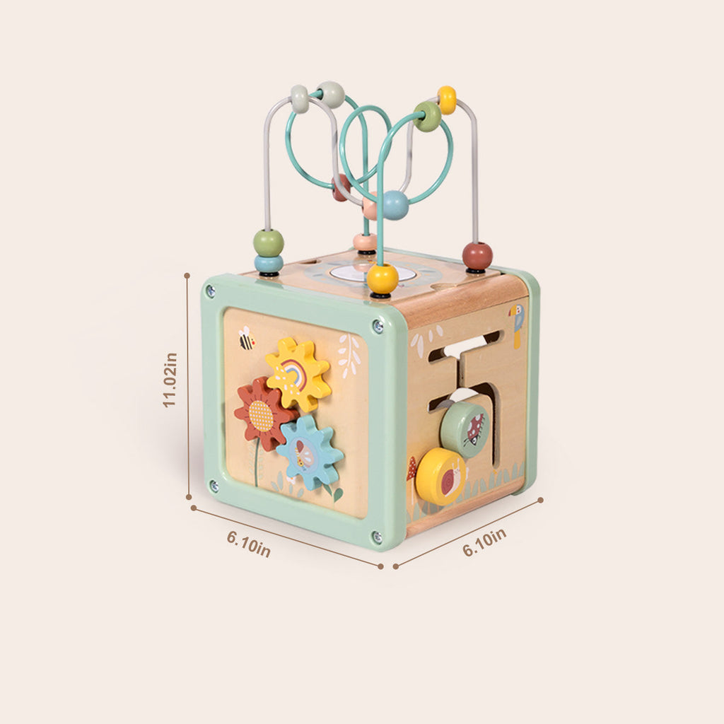 Multi-Activity Cube
