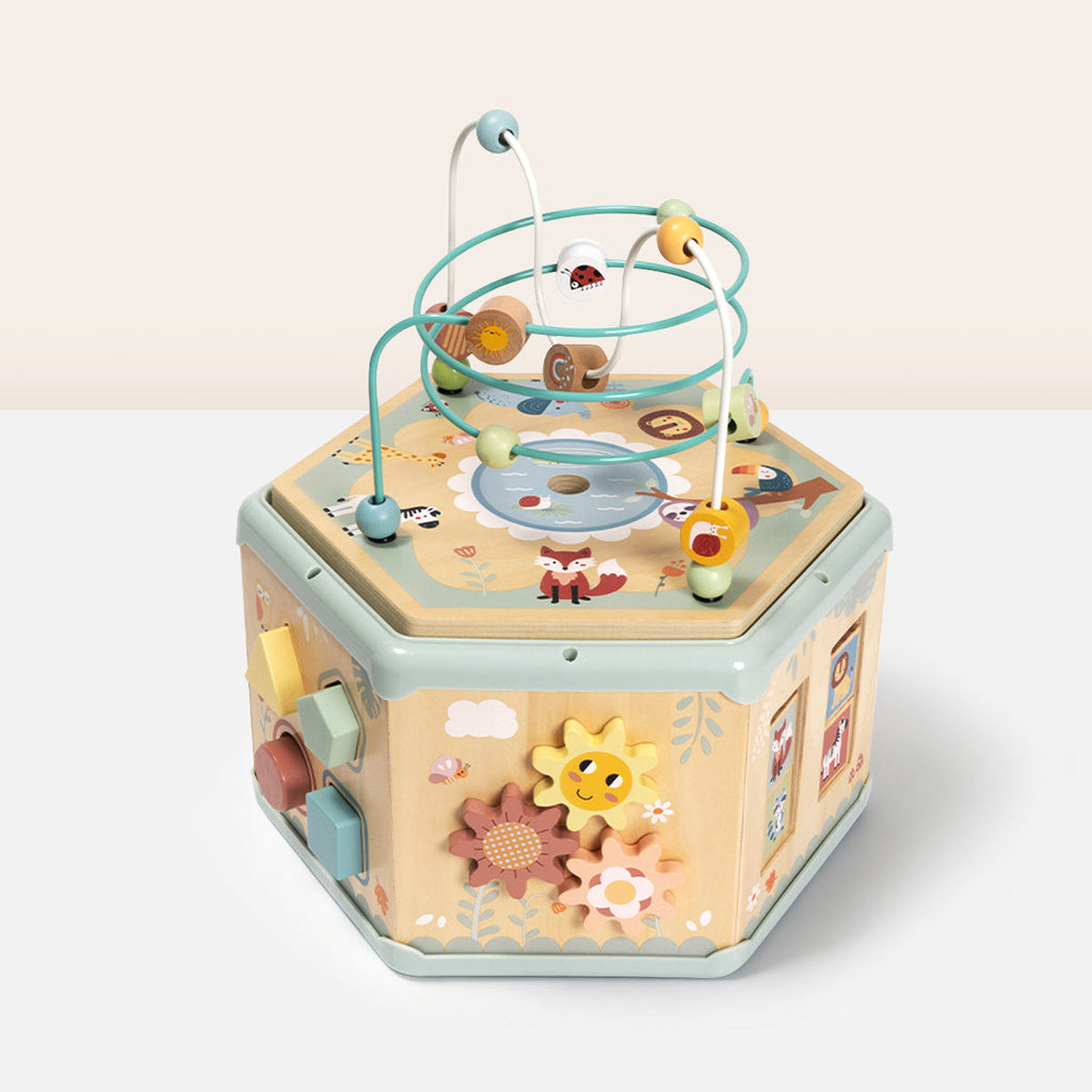 7-in-1 Activity Cube
