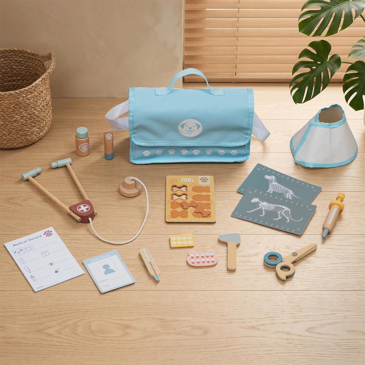 Pet Vet Play Set