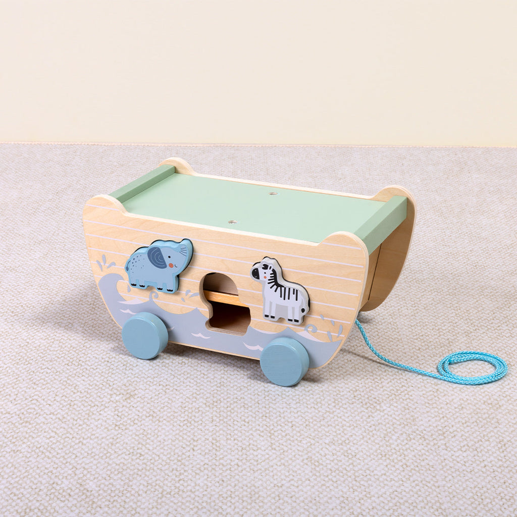 Noah’s Ark