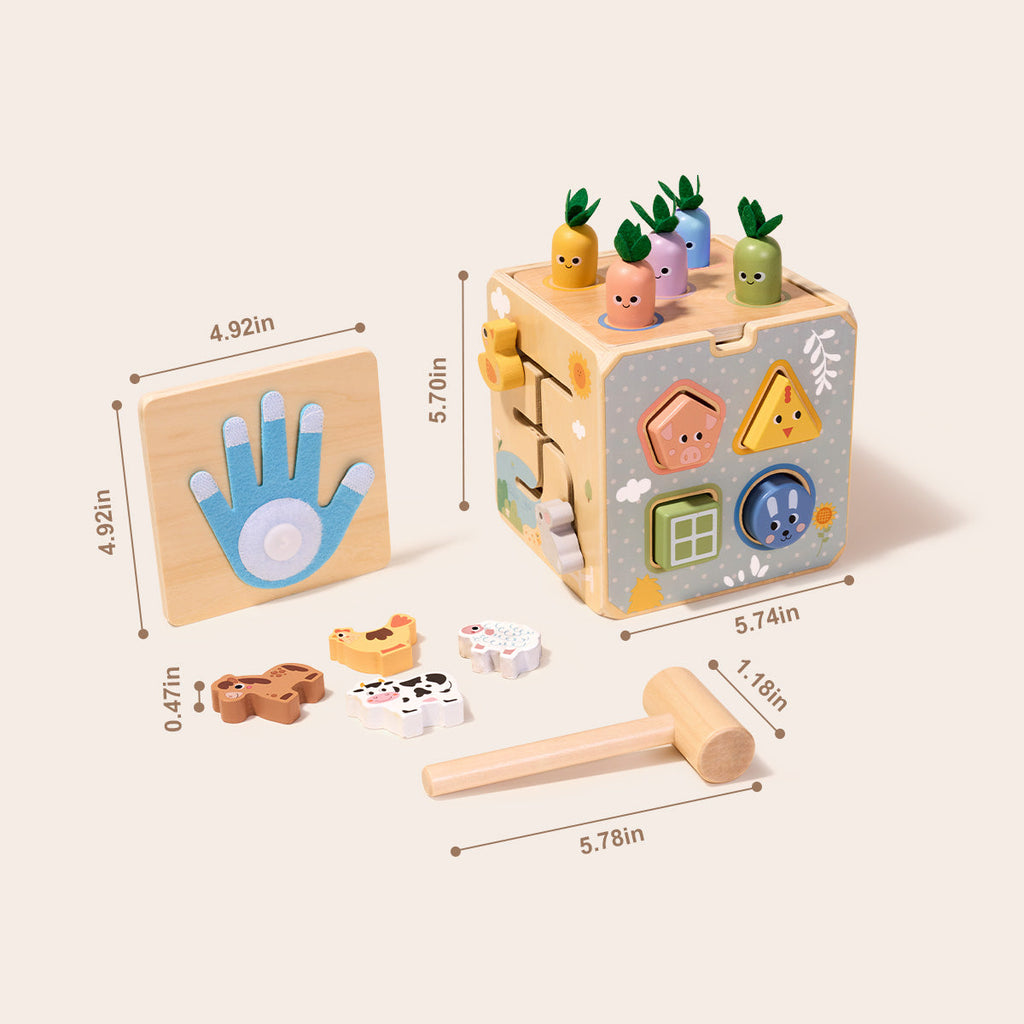 Activity Cube