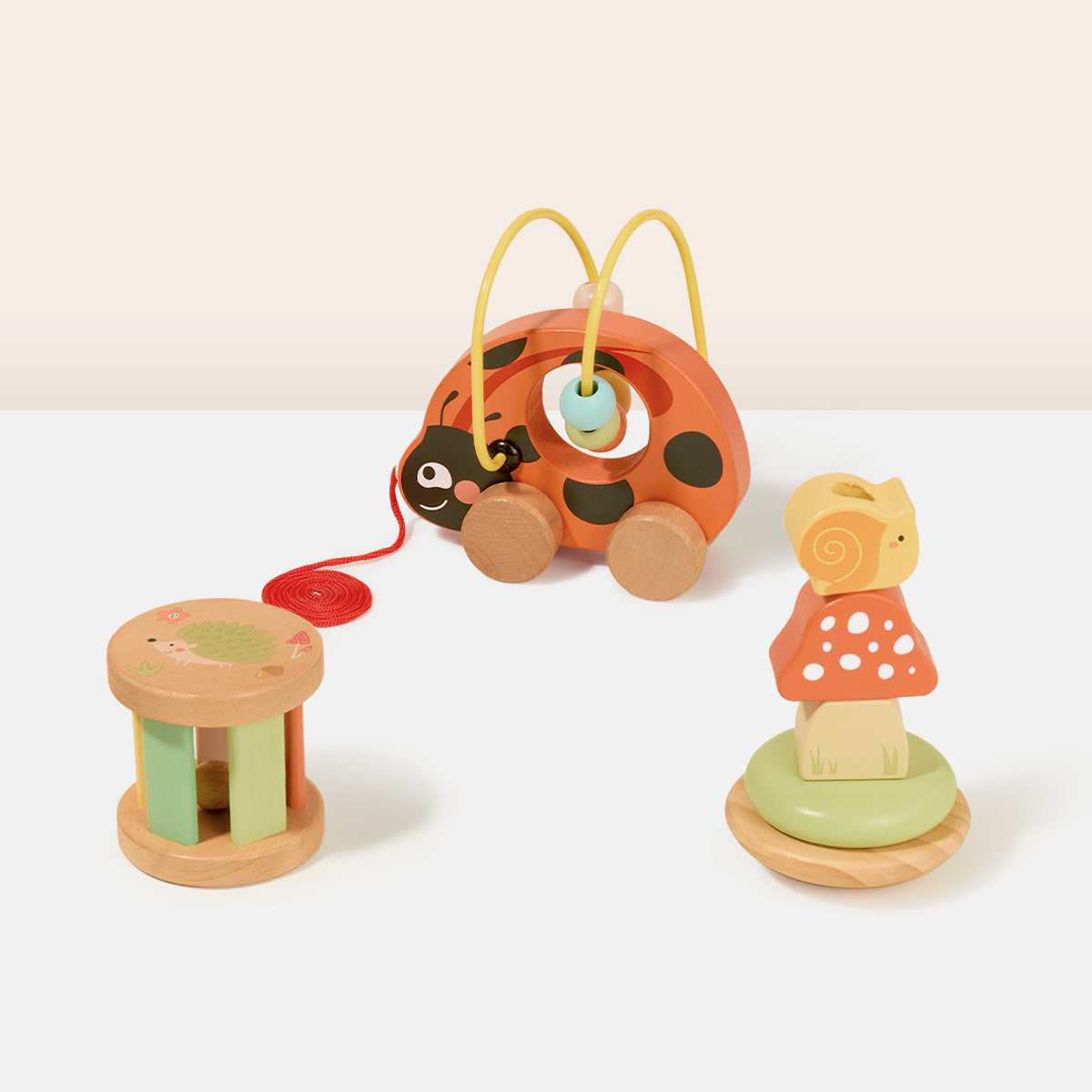 Ladybug Activity Box