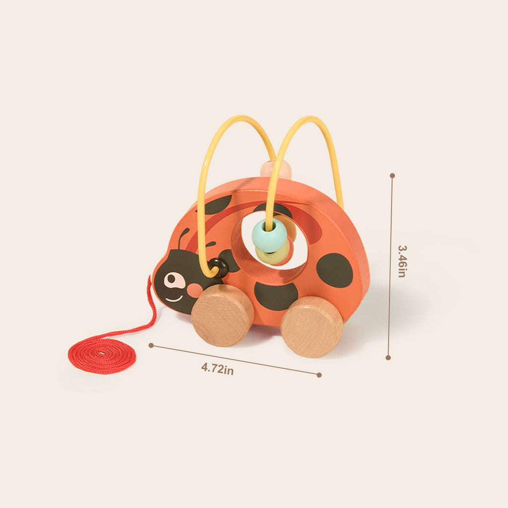 Ladybug Activity Box