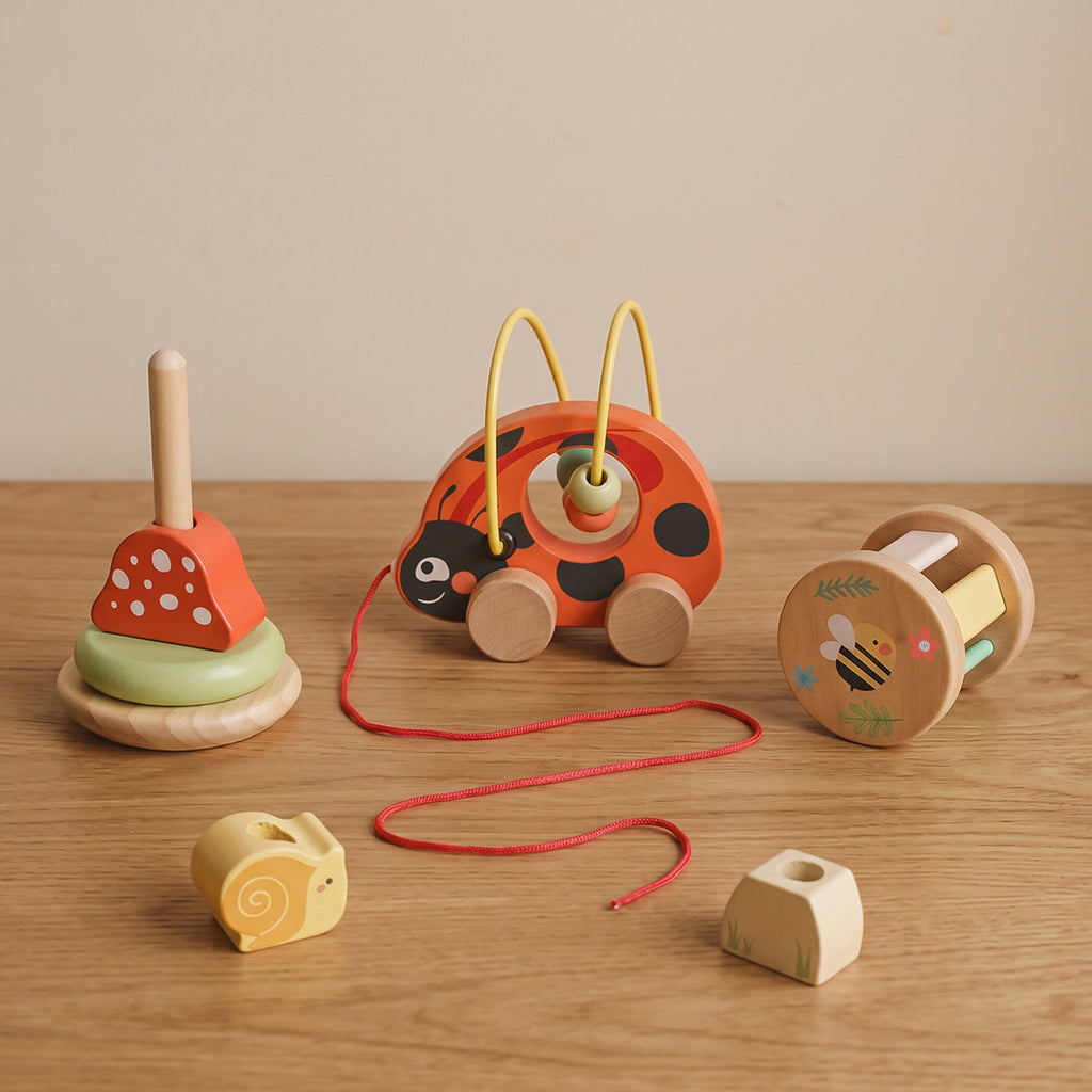 Ladybug Activity Box
